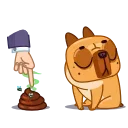 💩