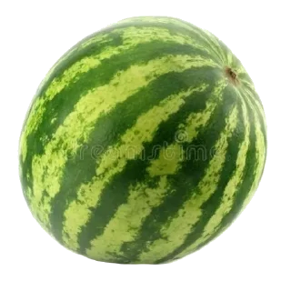 🍉