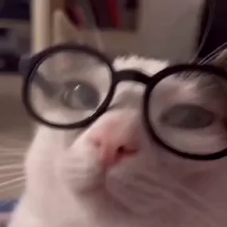 🤩