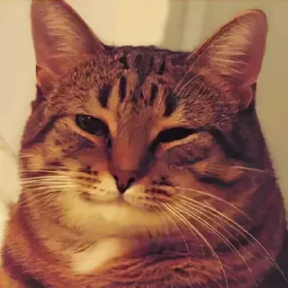 🙂