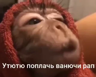 🌟