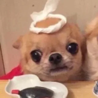 😇