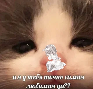 🥺