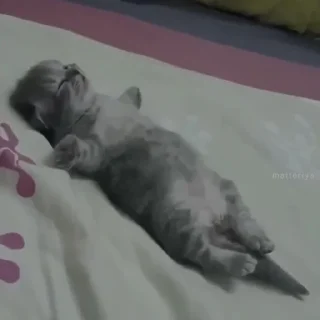 😴