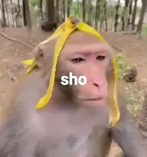 🤩
