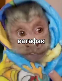 👶
