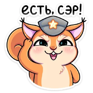 👮‍♂️