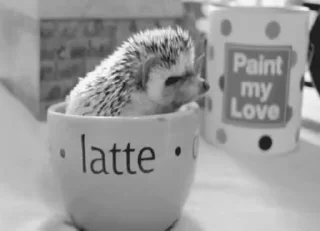 ☕