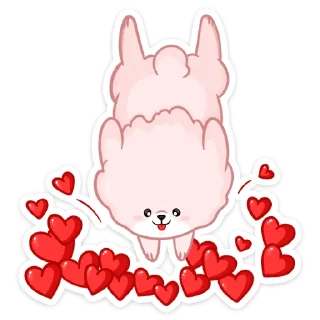 💞