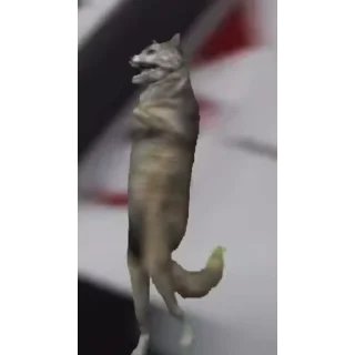 🐺