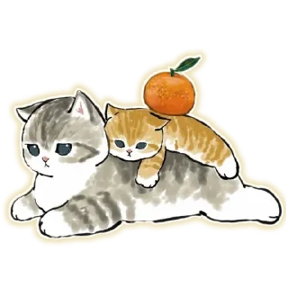 🐱