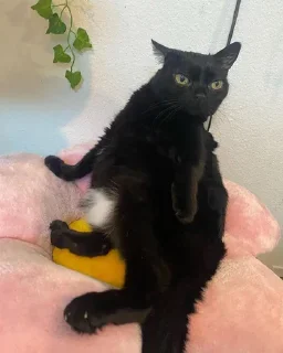 😠