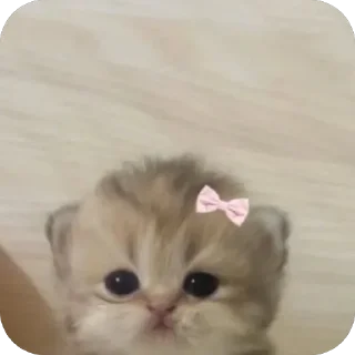 ☺️