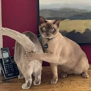😏