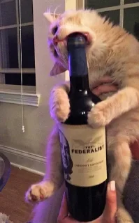 🍷