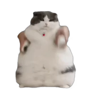 🕺