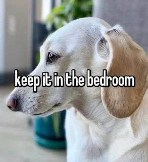 🛏