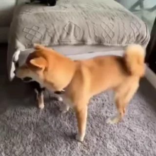👊