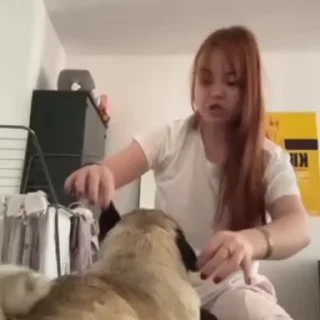 🐶