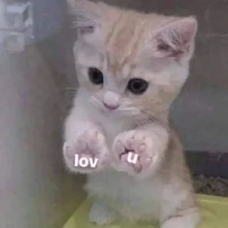 😣
