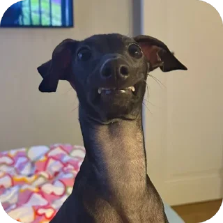 🤨