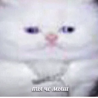 😢
