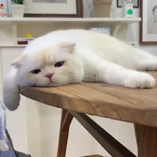 😓