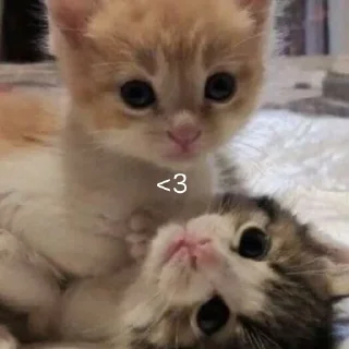 ❤️
