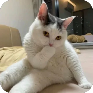 ☺️