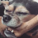 😢