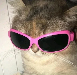 😎