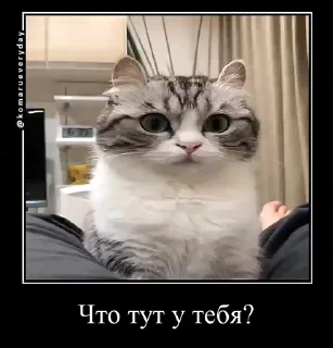 ❔
