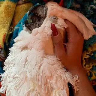 🤤