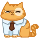 😾