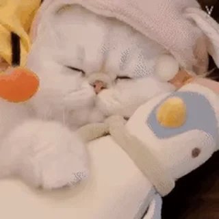 😪