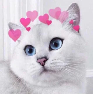 ❤️