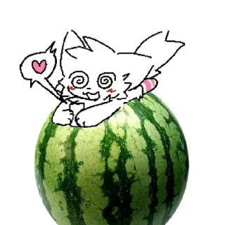 🍉