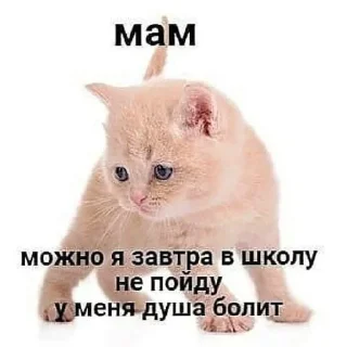😩