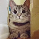 😶