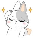✨