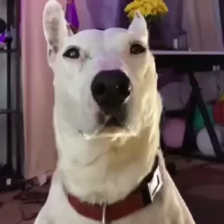 😘