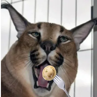 😋
