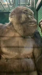 😏