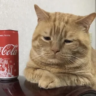 😢