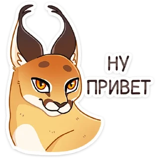 Сеймурр ::  @stickroom