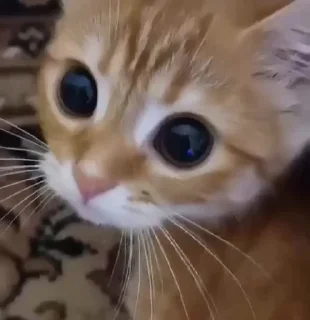 🥹