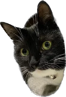 🤨