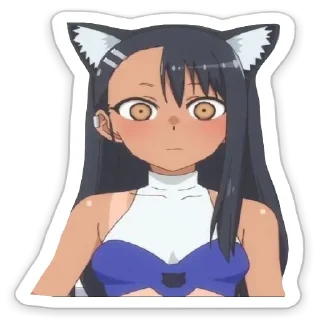 🐈