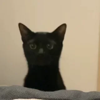🧶
