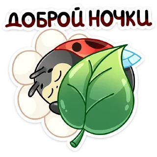 😴